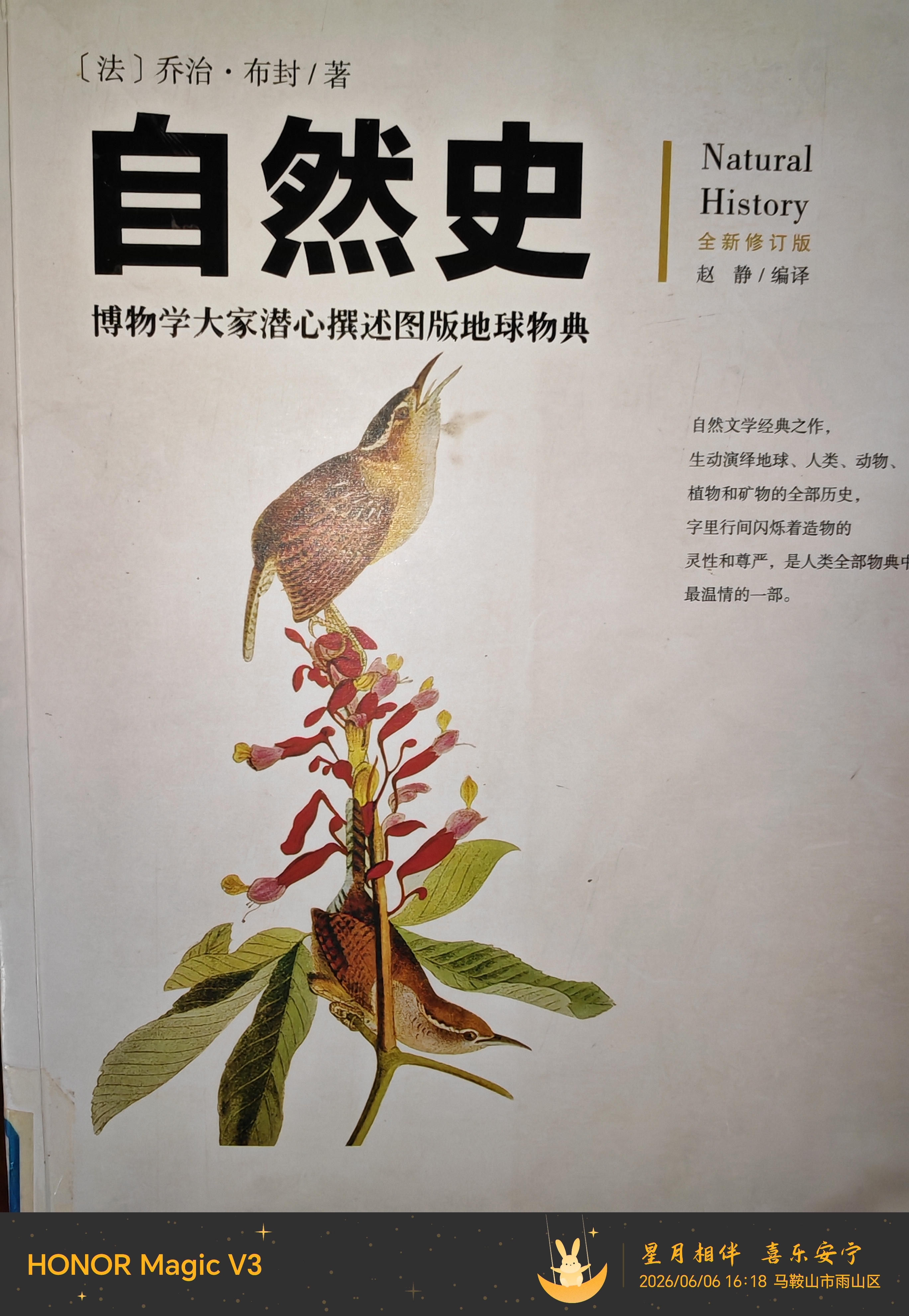 马=驴,马鞍山 - 网络杂谈 马鞍山OK论坛